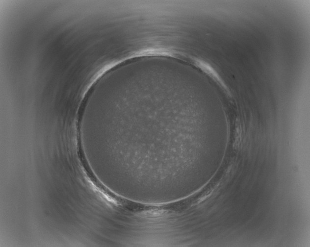 X0000081591268200701151300
