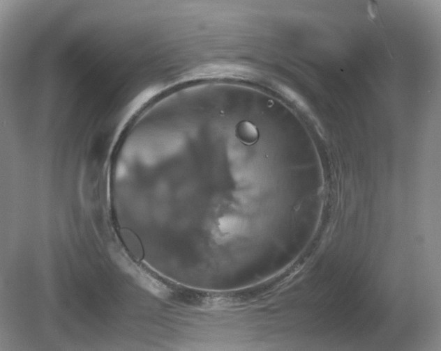 X0000081591275200701151300