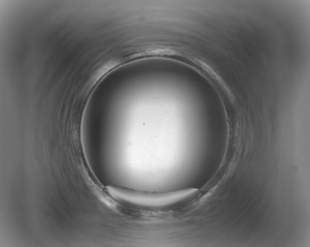 X0000081591281200701151259