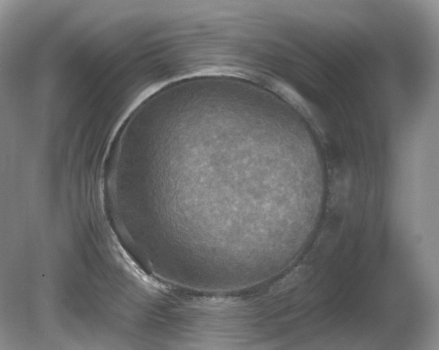 X0000081591284200701151259