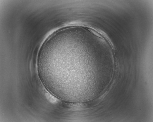 X0000081591288200701151259