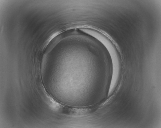 X0000081591289200701151259