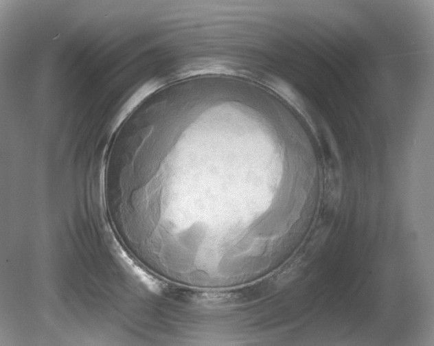 X0000081591290200701151259
