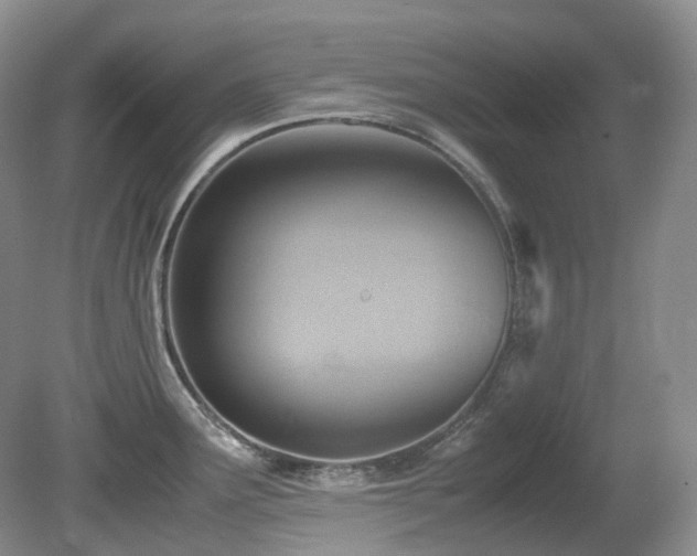 X0000081591291200701151259