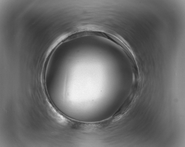 X0000081591293200701151259