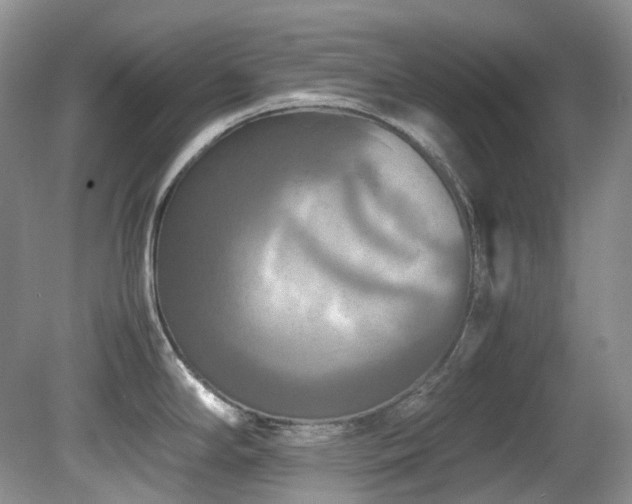 X0000081591294200701151259