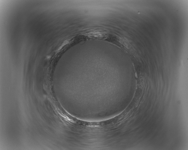 X0000081591297200701151258