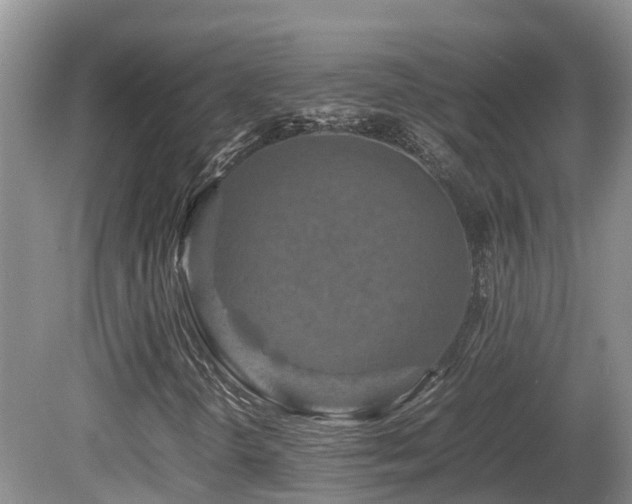 X0000081591298200701151258