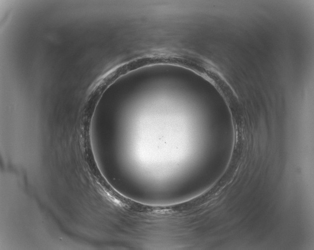 X0000081591304200701151258
