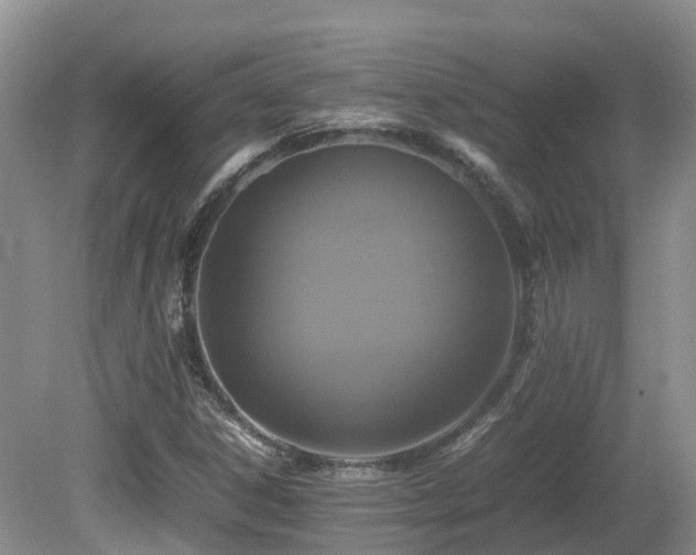 X0000081591306200701151258