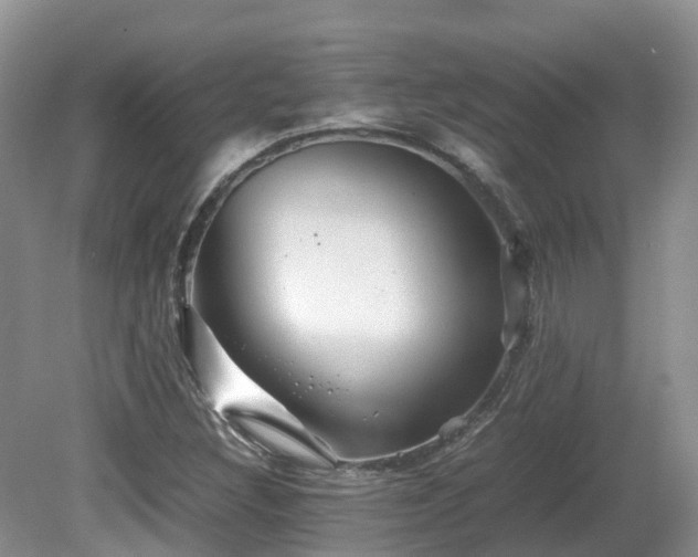 X0000081591308200701151259