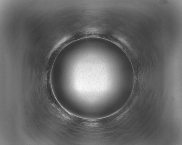 X0000081591309200701151259
