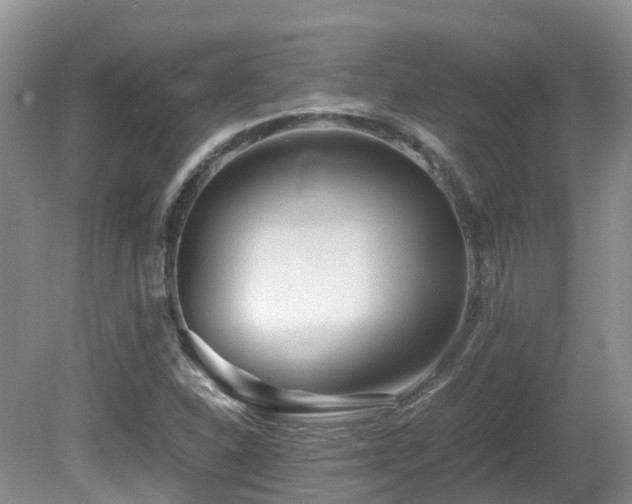 X0000081591310200701151259