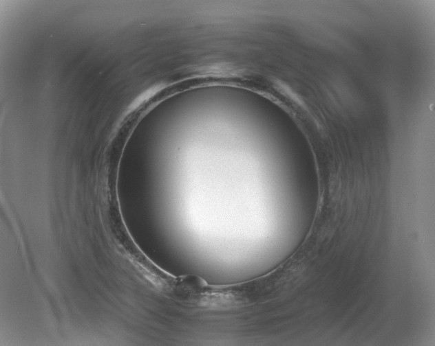 X0000081591315200701151259