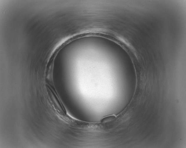 X0000081591316200701151259