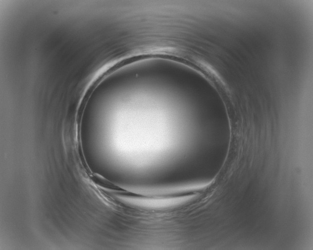X0000081591324200701151259