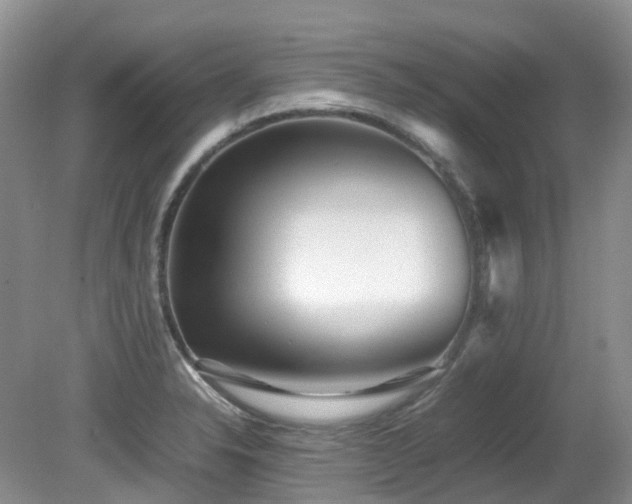 X0000081591326200701151259