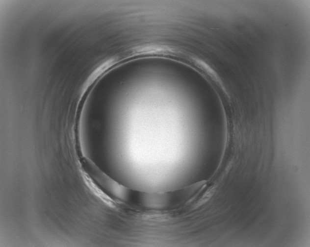 X0000081591330200701151259
