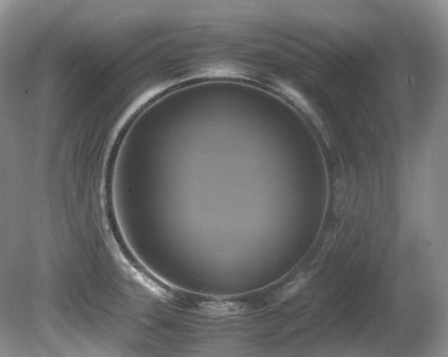 X0000081591331200701151259