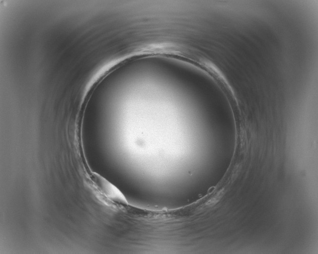 X0000081591336200701151259