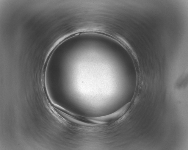 X0000081591340200701151259