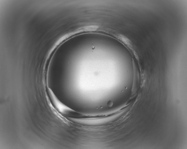 X0000081591342200701151259