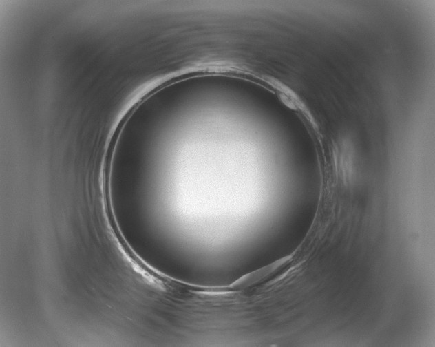 X0000081591343200701151259