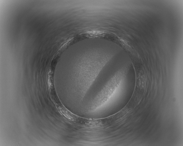 X0000081591346200701151258