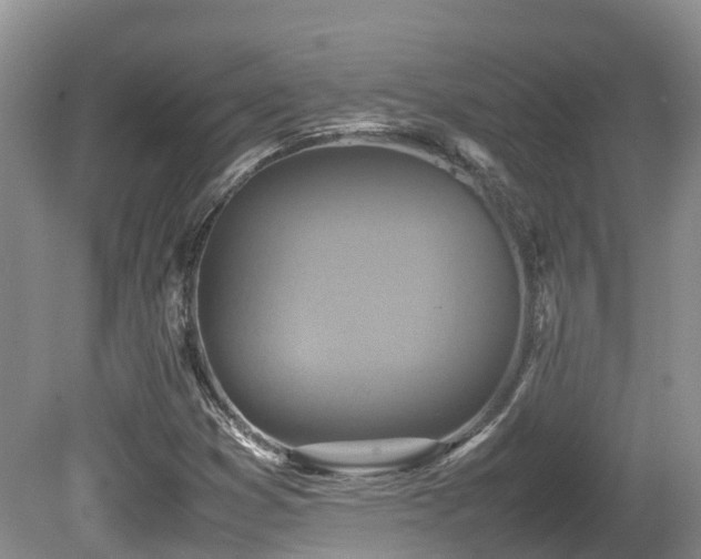 X0000081591353200701151258