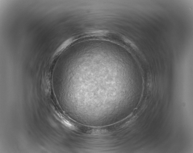 X0000081591354200701151258
