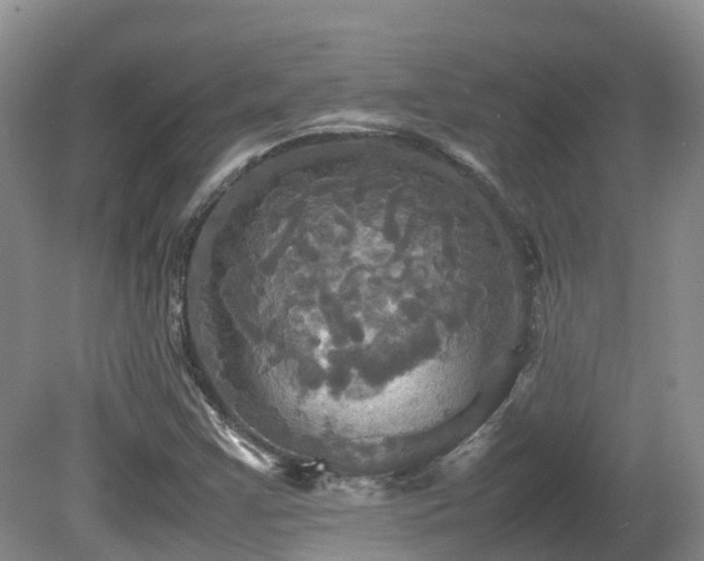 X0000081591355200701151258