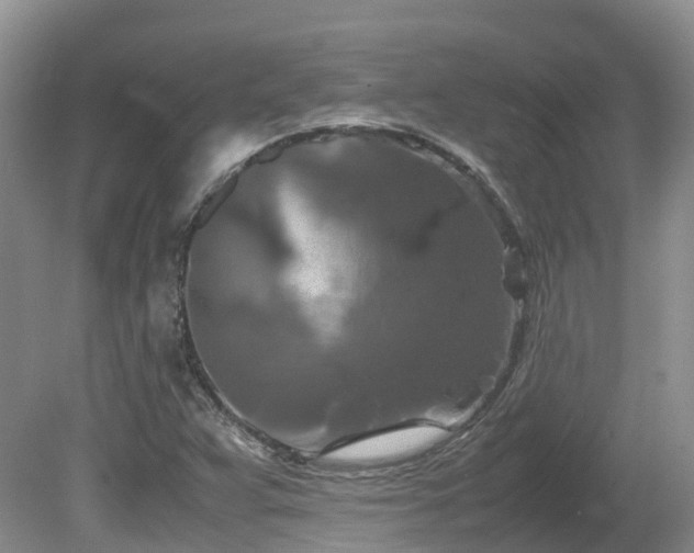 X0000081591359200701151258