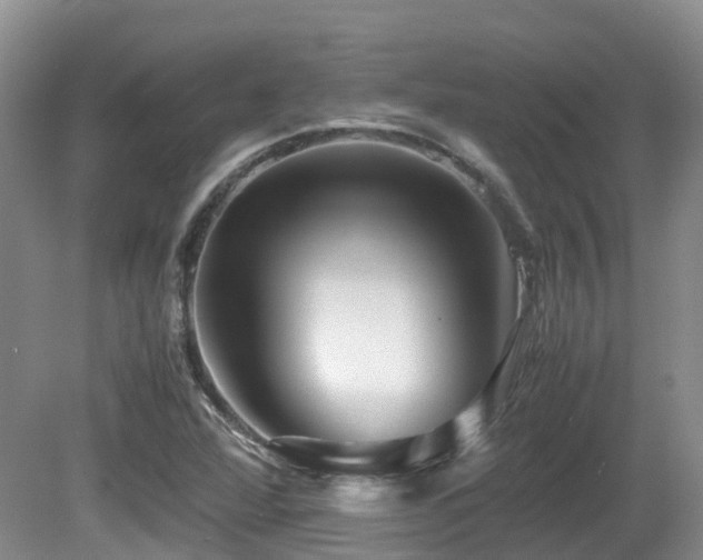 X0000081591360200701151258