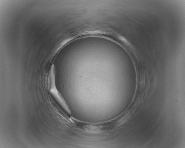 X0000081591361200701151258