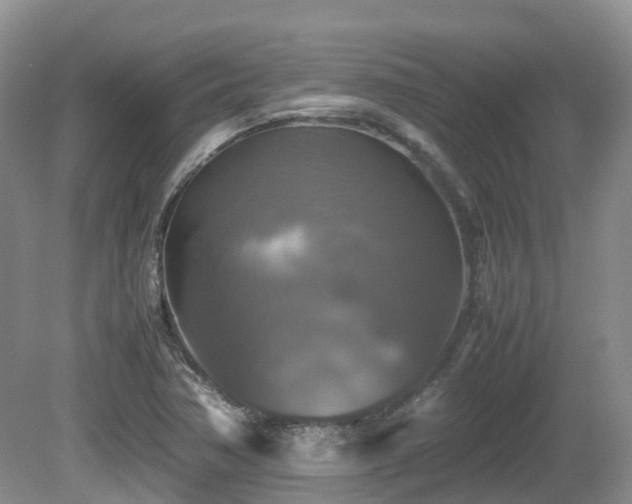 X0000081591362200701151258