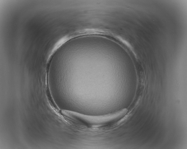 X0000081591365200701151258