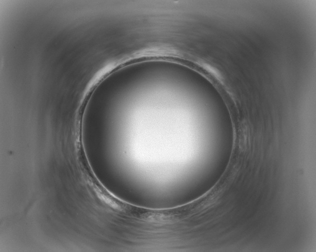 X0000081591366200701151258