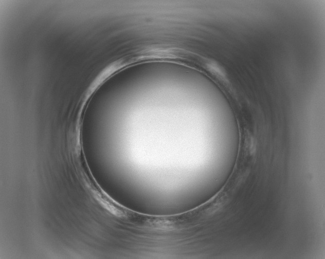 X0000081591370200701151258