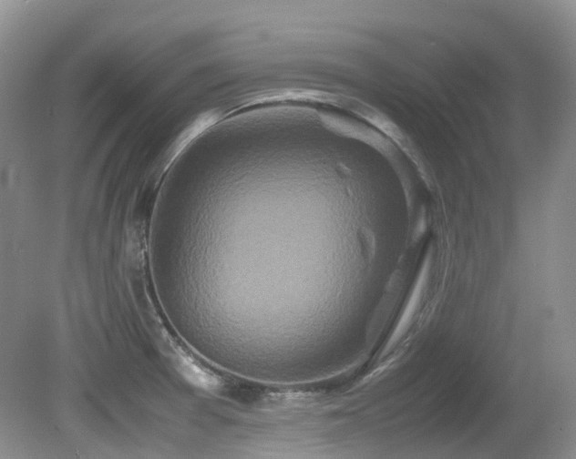 X0000081591377200701151258