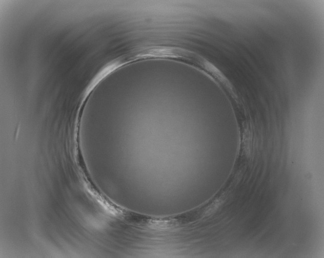 X0000081591378200701151258