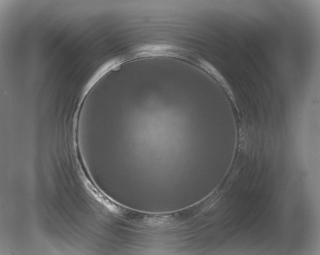 X0000081591386200701151258