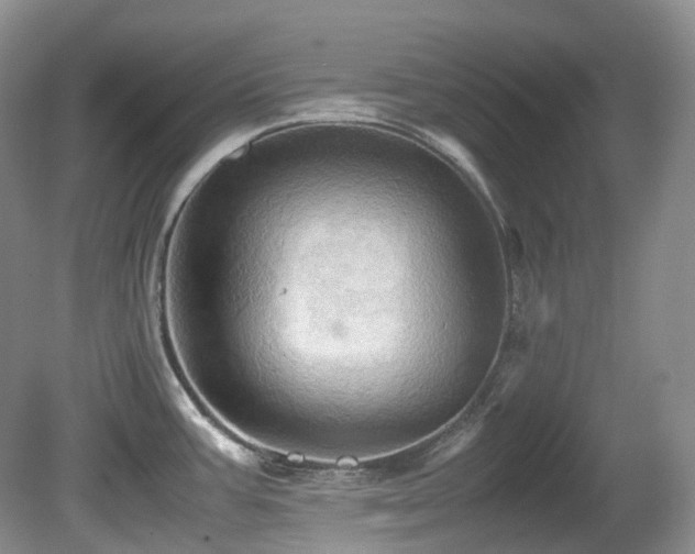 X0000081591387200701151258