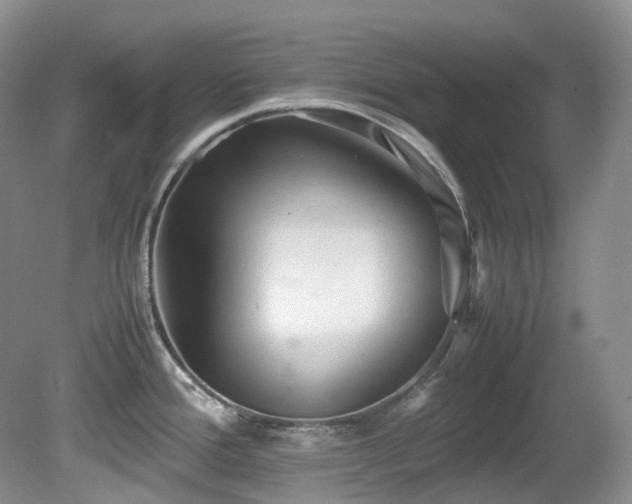 X0000081591388200701151258