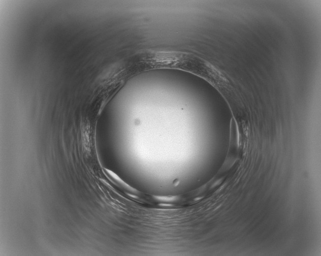 X0000081591394200701151257