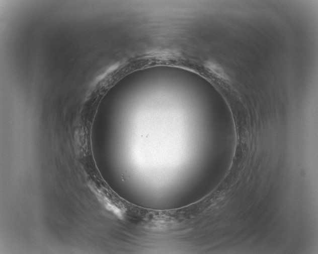 X0000081591398200701151257