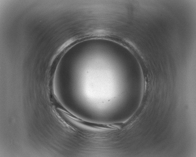 X0000081591410200701151257
