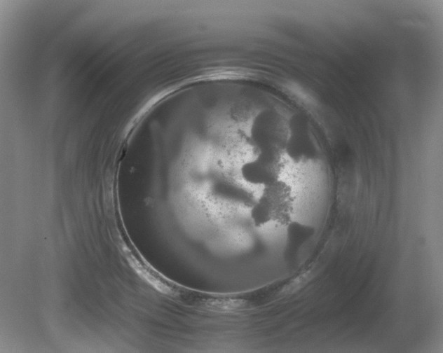 X0000081591417200701151257