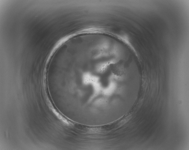 X0000081591421200701151257