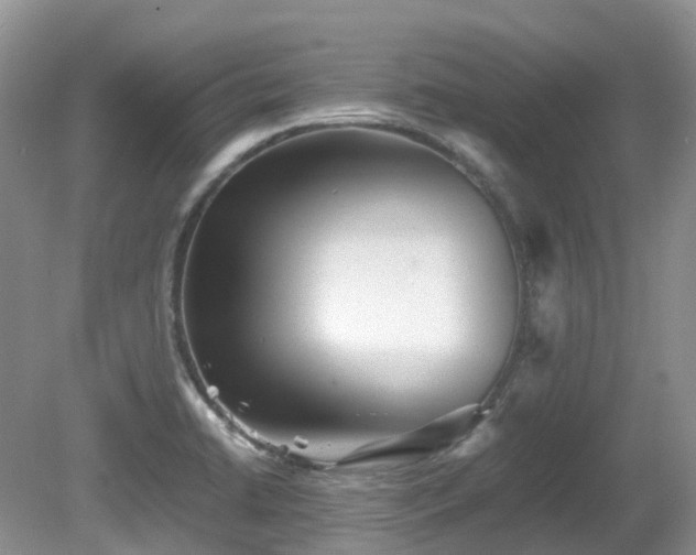 X0000081591422200701151257