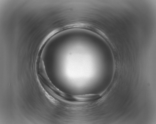 X0000081591426200701151257